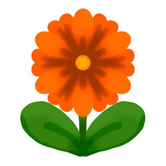 orange flower isolated on white