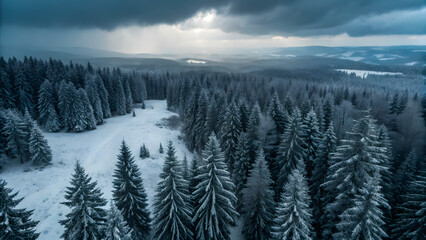 Winter Forest Wonderland: A breathtaking aerial shot captures a pristine winter forest scene, where snow-laden trees create a magical landscape under a dramatic, overcast sky.