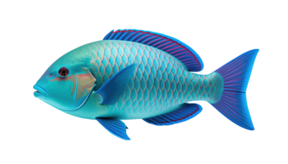 Vibrant blue fish profile view isolated on transparent background