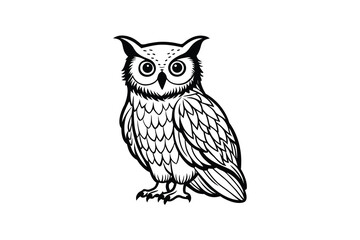 Obraz premium Detailed Black and White Owl Illustration on a White Background