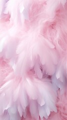 Feather backgrounds accessories fragility.