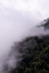 Fototapeta premium fog in the mountains