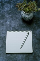 Notebook and Pen on Blue Textured Desk with Ceramic Potted Plant