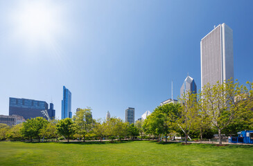 Sunny view of downtown Chicago with iconic skyscrapers rising above a lush green park meadow