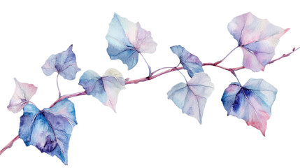 Ivy leaf with blue flowers and trailing green vines isolated on white background