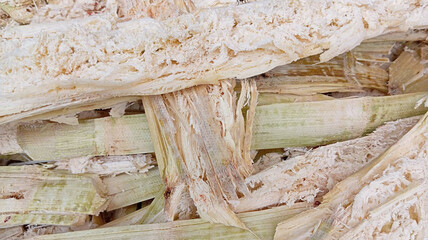 dry pulpy fibrous material that remains after crushing sugarcane