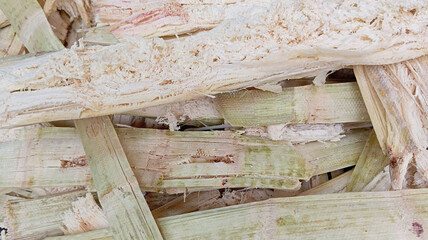 dry pulpy fibrous material that remains after crushing sugarcane