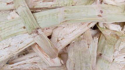 dry pulpy fibrous material that remains after crushing sugarcane