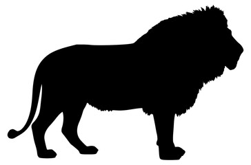Vector Silhouette Of A Male Lion.