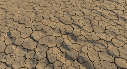 Parched tan ground featuring intricate deep cracks forming polygonal shapes under angled light