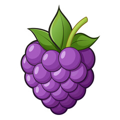 A vibrant boysenberry illustrated in vector art style. Minimal design, flat colors, and clean lines make it perfect for health, food, or summer-themed creative projects.