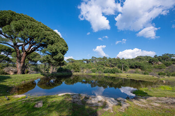 Lake Bafa region. Ancient city Latmos Cavdar Lake.Latmos Cavdar Lake in the Caria region. Latmos Cavdar village Cobantas castle Cavdar Lake. Aydin, Türkiye.