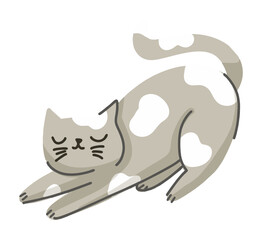 Cute Gray Cat Stretching with White Spots
