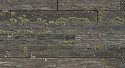 Weathered gray wooden planks with green lichen and metal nails forming a textured surface