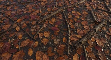 Wet forest floor covered with scattered brown and red autumn leaves and dark fallen branches