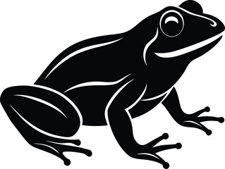 vector illustration of a frog