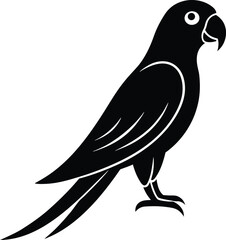 vector illustration of a bird