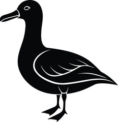 vector illustration of duck