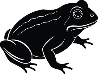 vector illustration of a frog