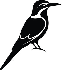 vector illustration of a black bird