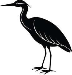 Obraz premium heron of the sky