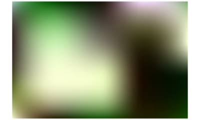 abstract gradient shape cutout on transparent background, green vibrant color mesh gradient overlay effect realistic cutout, gradient effect