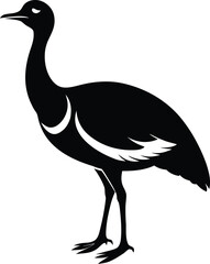 vector illustration of a wild duck