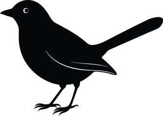 vector illustration of a bird