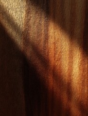 Fototapeta premium Warm Light Casting Shadows on Beautiful Wooden Surface Texture
