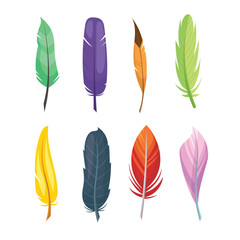 vector colored feathers set bird feathers painted colorful patterns design.
