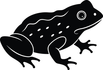 vector illustration of a frog