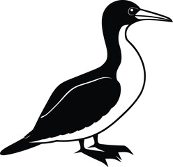 vector illustration of a duck