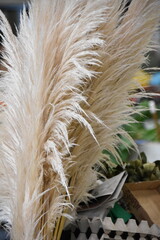 Light beige pampas grass plumes stand out amid boxes and papers, bringing a touch of natural...