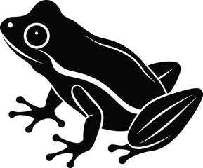 vector illustration of a frog