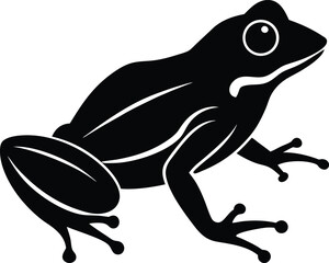 vector illustration of a frog