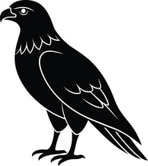 vector illustration of an eagle