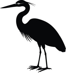 vector illustration of a flamingo