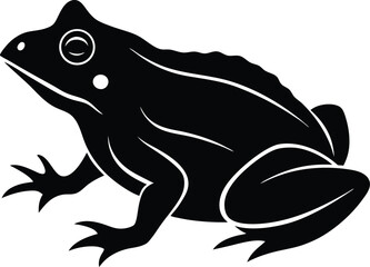vector illustration of a frog