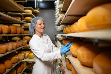 Handmade cheese production. Inspector controlling quality of dairy product in food factory.