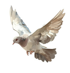 Serene Dove in Flight, Painted Style, Isolated on Transparent PNG