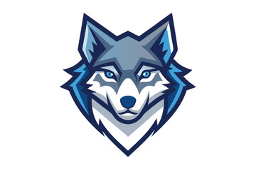 Frontfacing gray wolf portrait shows the intense gaze of yellow eyes against a white backdrop