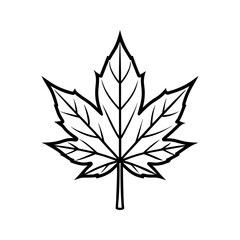 Obraz premium Black and white outline of a maple leaf isolated on white background