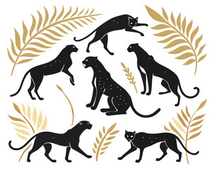 Elegant black panther silhouettes with golden botanical accents on a transparent background