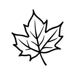 Simple black outline of a maple leaf isolated on white background