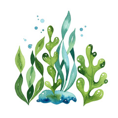 Underwater Fantasy: An enchanting watercolor illustration of vibrant sea plants and bubbles, bringing the captivating allure of the ocean's depths to life. 
