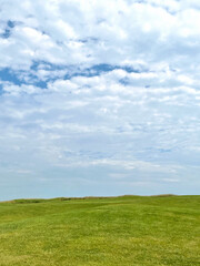 Edited in Tezza with: Exposure, Brightness, Contrast, Shadows, Highlights, Temperature, & Saturation