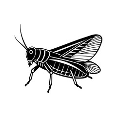 Stylized black and white illustration of a grasshopper with detailed wings and legs