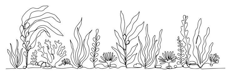 seaweed and coral underwater line art