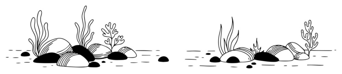 coral reef with rocks and seaweed black and white © Wieslaw