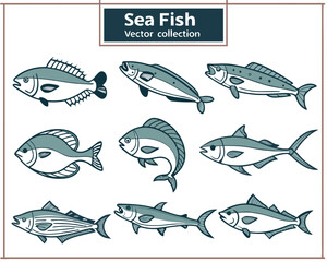 Vector illustration set of various sea fish with stylized designs and outlines